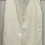 OVI Pencil Skirt Photo 1