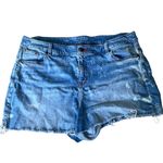 Lane Bryant Denim Shorts 20 Womens Plus Patriotic Casual Raw Hem Cut Off Summer Photo 0