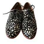 DV Dolce Vita Animal Print Calf Hair Oxford Leather Flats Beige Brown Lace Up 6 Black Photo 1