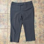 Apt. 9  capris pants | size 8 | modern fit Photo 0