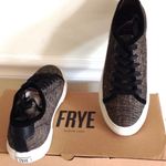 Frye Fry Gia Canvas Low Lace Sneakers Photo 5