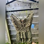 Free People FP One $68 Adella Cami Tank Lace Top Olive Green Festival Fairy Boho Photo 1