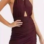 Tiger Mist NWT  Women's Halter Backless Ruched Bodycon Dress Purple M Cocktail Photo 0
