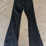Wild Fable  Flare Jeans Photo 0
