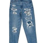 American Eagle  Outfitters Mom Straight Distressed Blue Jeans plaid detail size 2 Photo 0