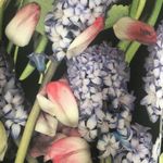 Ted Baker Akva Kensington Floral Bodycon Dress XXS Photo 5