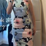 Calvin Klein  Dress Photo 1