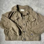 Everlane Green Cotton Jacket Photo 1