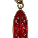 Juicy Couture  Watermelon Charm Photo 0