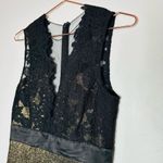 Theia Gold & Black Midnight Lace Crewneck Lace See Through Sheath Dress Size 6 Photo 10