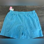 Nickelodeon NEW 90’s Blue’s Clue’s Woman’s Comfy Lounge Shorts Blue Medium Photo 5