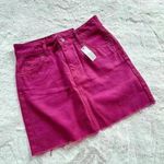 Topshop NWT Top Shop Skirt size 4 Photo 0