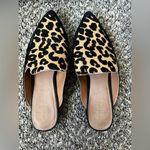 Halogen  Western Corbin Leopard‎ Mules Shoes Size 8.5 Photo 1