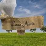 Love Note Love notes brand semi sheer white eyelet lace top Photo 4