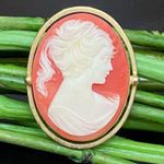 Vintage Unsigned Coral Victorian Cameo Gold Photo 1