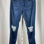 American Eagle  Size 4 Tomgirl Button Fly High Rise Distressed Skinny Jeans Cali Photo 0