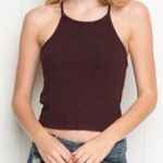 Brandy Melville Maroon Crop Knit Top Photo 0