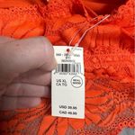 Aerie NEW Hibiscus Lace Halter Bralette Orange Size Extra Large Photo 3