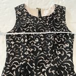 Milly  Black Lace Overlay Sleeveless Dress Size‎ 2 Photo 5