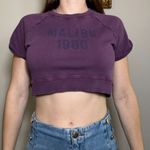 ZARA  "Malibu 1980" Purple Crop Top Size Small Photo 1