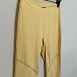 Gymshark x Whitney Simmons- Mesh Leggings V3 Pollen Athletic Gym Workout Photo 3