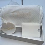 Chloé Chloe Rock Calfskin Party Long Zip Wallet with FULL INCLUSION Photo 5