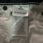 Ralph Lauren EUC Polo Tompkins Aztec Skinny High Rise Ankle Jeans Women's 26 Photo 7