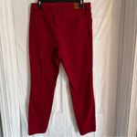 Tommy Hilfiger  Red Tribeca‎ Skinny Crop Denim Pants Womens Size 10 Casual Preppy Photo 1