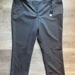 Lane Bryant (NWT) The Sophie Straight Fit Trousers Back Hem Zipper Accent Sz 26 Photo 0