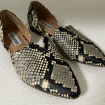 Steve Madden  Black and Cream Snakeskin Flats like new !! Photo 0