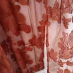 Sky & Sparrow burnt orange sheer cardigan size S/M Orange Photo 1