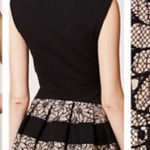 Anthropologie Eva Franco Laced‎ Strata Fit and Flare Pleated Dress Black Cream 2 Photo 0