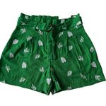 Ann Taylor  Viscose/Linen Blend Embroidered Pleated Paperbag Green Shorts Size 4 Photo 0