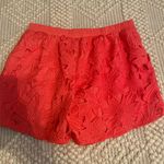 Francesca's Lace Shorts Photo 1
