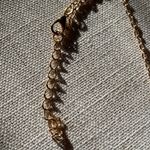 🌙 Elegant Gold Moon Necklace with Fringe Detailing gift vintage witchy boho new Photo 4