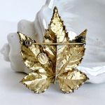 Vintage Leaf Brooch Gold Vermeil Coated Botanical Photo 4