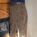 American Eagle Curvy Super Hi-Rise Brown Leopard Print Jegging Jeans Size 18 Photo 0