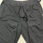 Champion Women’s  Joggers PowerBlend Sweatpants 4X Plus Size Iconic Granite Grey Photo 3