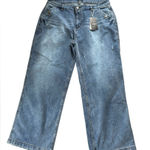 Flamingals Wide Leg Flare Bell Bottom Stretch Jean Sz 4X 18/20 Pockets Distress Blue Photo 0