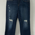 Anthropologie Pilcro The Borrowed High Rise Distressed Boyfriend Denim Jeans 29 Photo 0