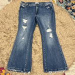 Petra Fashions Petra 153 jeans size 18w Photo 0