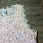 Sans Souci  Dainty Feminine Pink Peach Lace Cropped Sleeveless Top Medium Photo 2