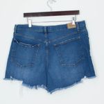 Abercrombie & Fitch  Womens Curve Love High Rise Shorts Size 33‎ 16 Distressed Photo 4