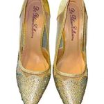 Lauren Lorraine De‎ Blossom  Glitter Mesh Pointed Toe Stiletto Heels Wedding Evening Pumps Photo 0