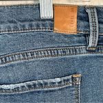 Level 99 Sz 31 Jeans Distressed Ankle Cropped Length Blue Photo 7