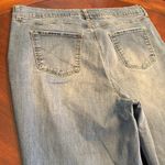 Terra & Sky 20w  Photo 5