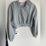 For Love & Lemons  Cropped Hoodie Photo 1