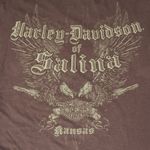 Harley Davidson 2010  Brown Flaming Skulls Shirt Photo 5