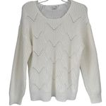 T4 Caren Sport Boho 2X White Textured Knit Sweater Long Sleeve Pullover Top Photo 0
