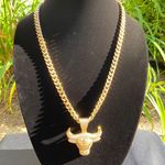 Gold Chain Cuban 24in 8mm And Icy Diamond Bull Pendant Set Photo 0